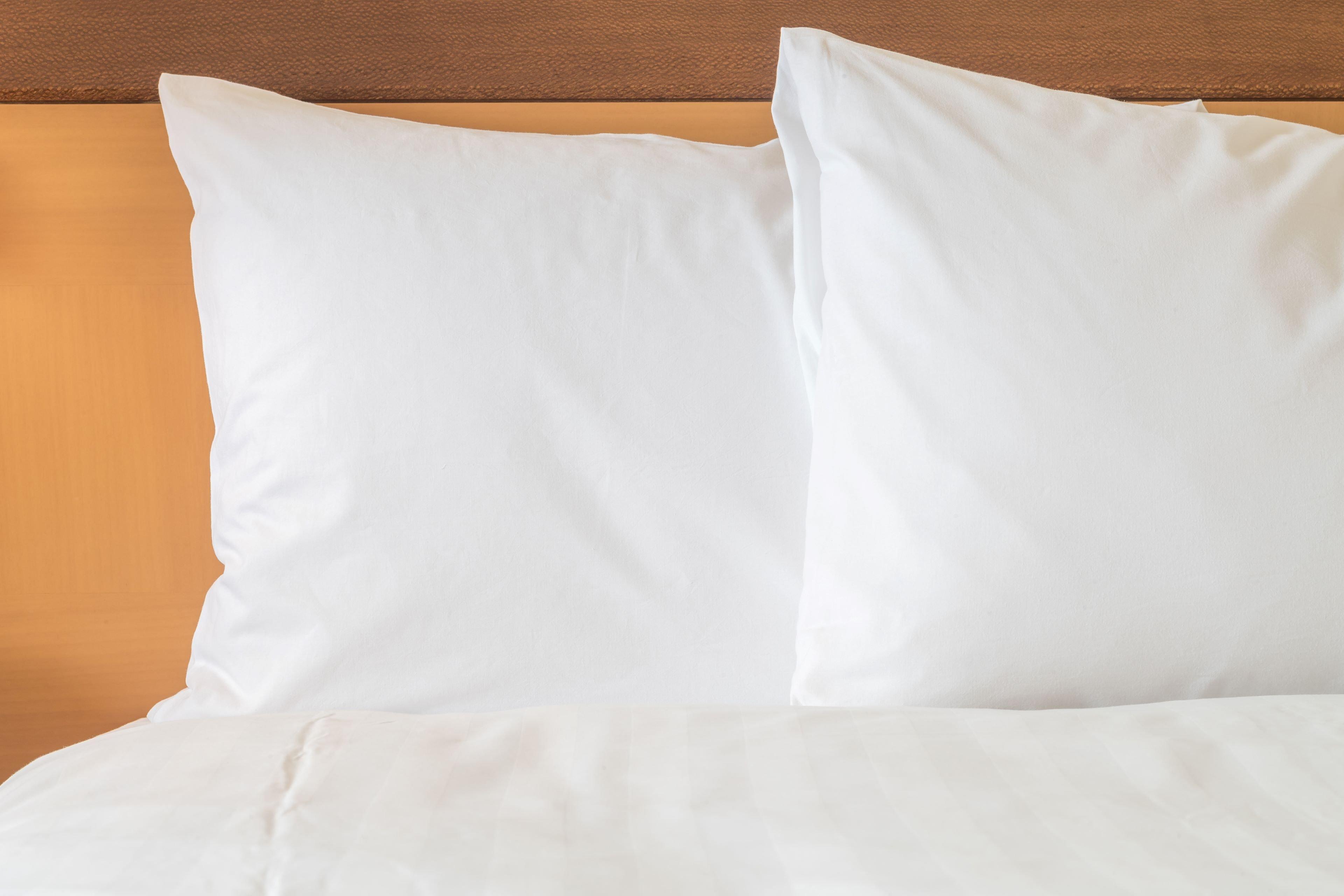 Holiday Inn Express & Suites - Van Horn By Ihg Eksteriør billede